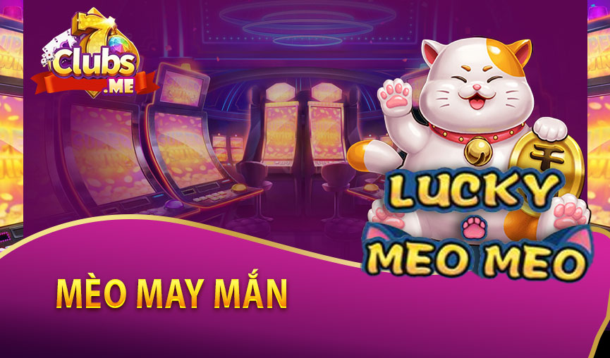 mèo-may-mắn